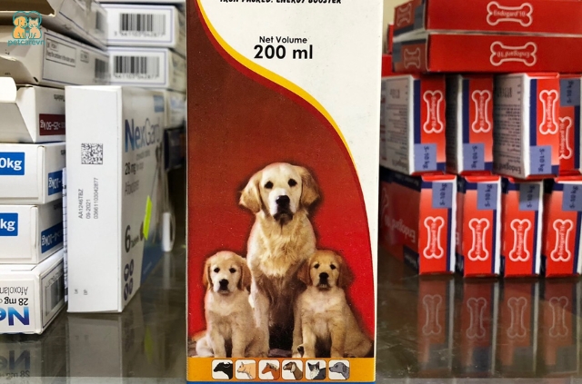 Thiếu sắt là một vấn đề sức khỏe thường gặp ở chó