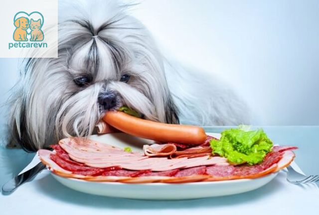 Rủi Ro Sức Khỏe Liên Quan Đến Việc Ăn Xúc Xích Ở Chó Con